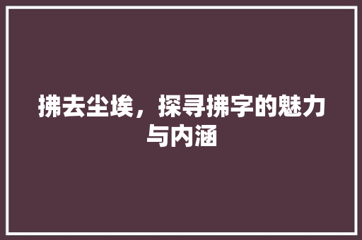 拂去尘埃，探寻拂字的魅力与内涵