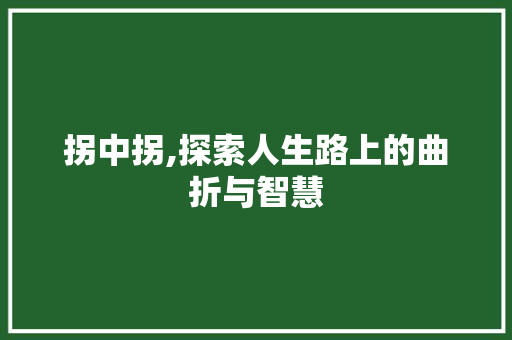 拐中拐,探索人生路上的曲折与智慧