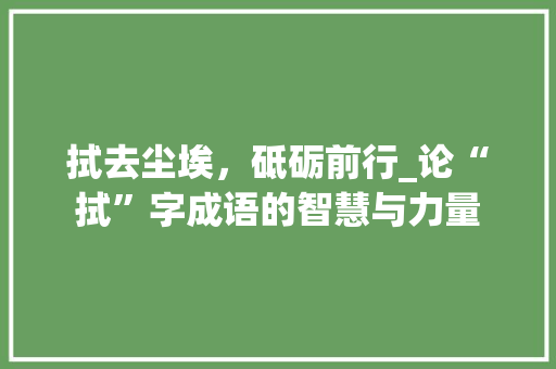 拭去尘埃，砥砺前行_论“拭”字成语的智慧与力量