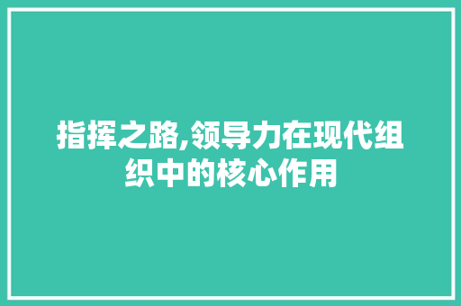 指挥之路,领导力在现代组织中的核心作用