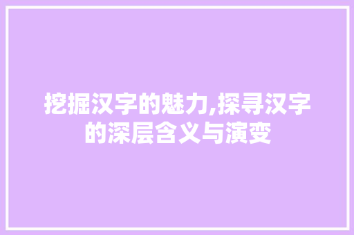 挖掘汉字的魅力,探寻汉字的深层含义与演变