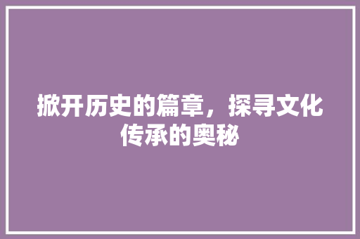 掀开历史的篇章，探寻文化传承的奥秘