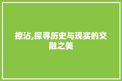 掠沾,探寻历史与现实的交融之美