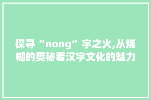 探寻“nong”字之火,从烧糊的奥秘看汉字文化的魅力