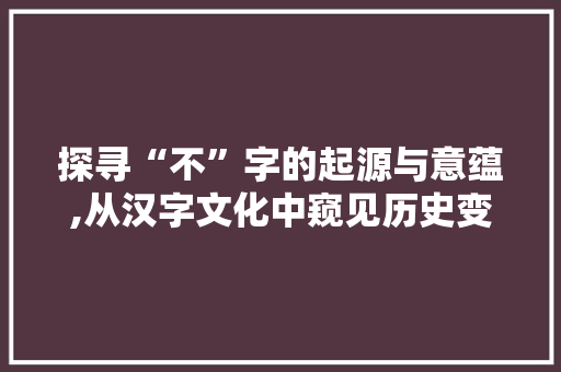 探寻“不”字的起源与意蕴,从汉字文化中窥见历史变迁 工作计划