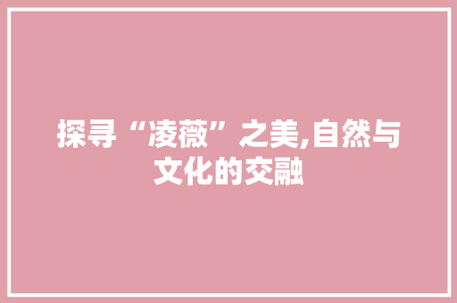 探寻“凌薇”之美,自然与文化的交融