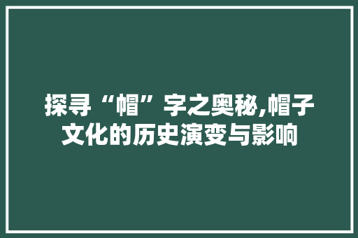 探寻“帽”字之奥秘,帽子文化的历史演变与影响