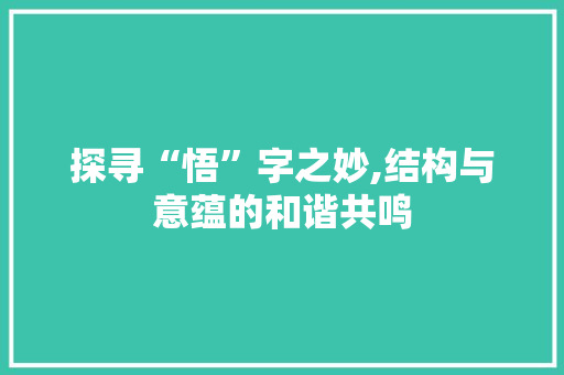 探寻“悟”字之妙,结构与意蕴的和谐共鸣