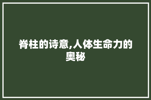脊柱的诗意,人体生命力的奥秘