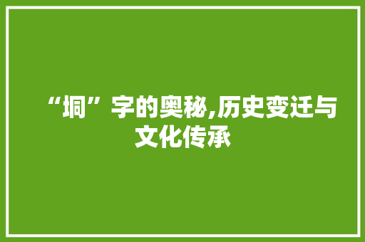 “垌”字的奥秘,历史变迁与文化传承