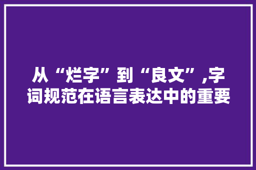 从“烂字”到“良文”,字词规范在语言表达中的重要性 成语大全