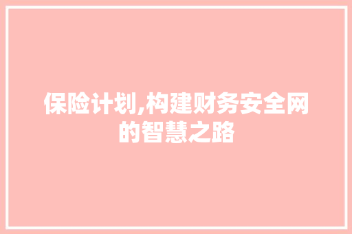 保险计划,构建财务安全网的智慧之路