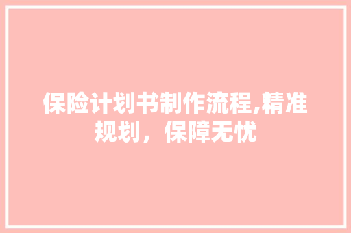 保险计划书制作流程,精准规划，保障无忧