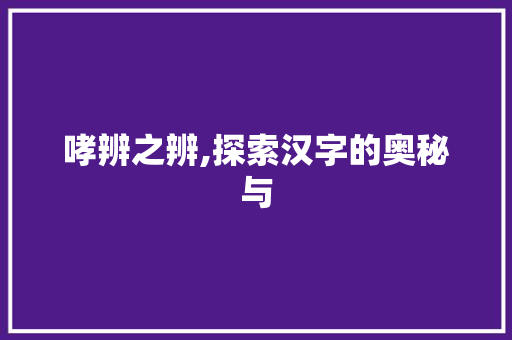 哮辨之辨,探索汉字的奥秘与