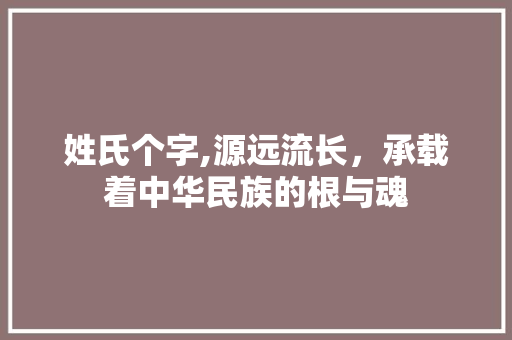 姓氏个字,源远流长，承载着中华民族的根与魂 工作总结
