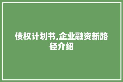 债权计划书,企业融资新路径介绍