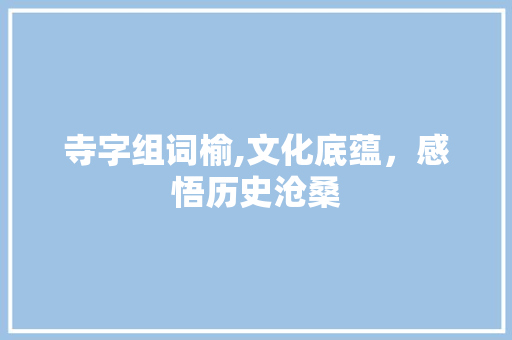 寺字组词榆,文化底蕴，感悟历史沧桑