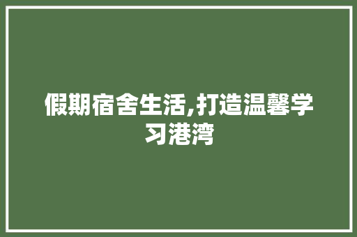 假期宿舍生活,打造温馨学习港湾