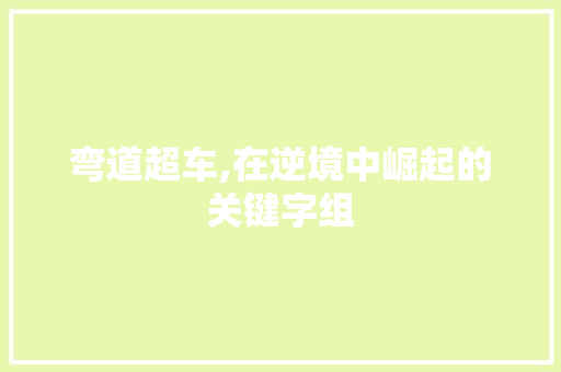 弯道超车,在逆境中崛起的关键字组