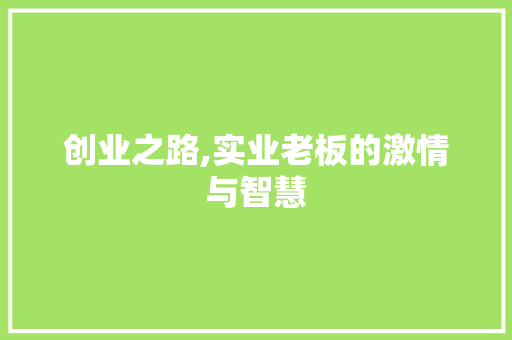 创业之路,实业老板的激情与智慧