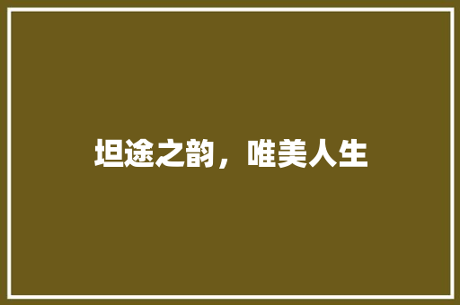 坦途之韵，唯美人生