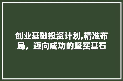 创业基础投资计划,精准布局，迈向成功的坚实基石