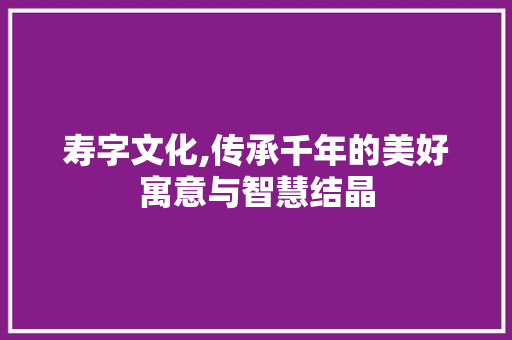 寿字文化,传承千年的美好寓意与智慧结晶