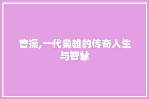 曹操,一代枭雄的传奇人生与智慧