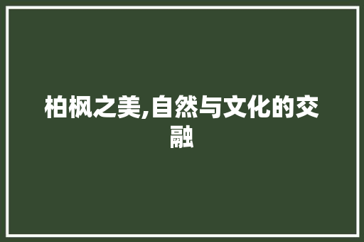 柏枫之美,自然与文化的交融