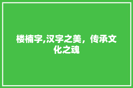 楼楠字,汉字之美，传承文化之魂