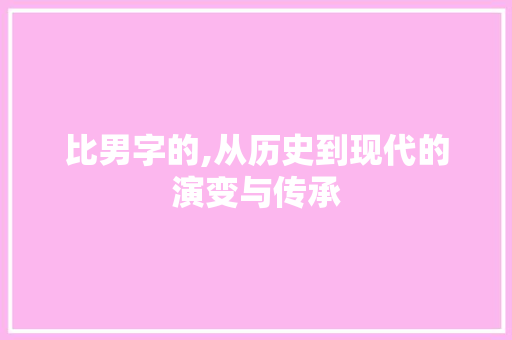 比男字的,从历史到现代的演变与传承 工作总结