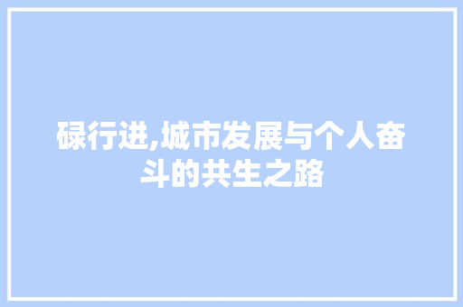 碌行进,城市发展与个人奋斗的共生之路
