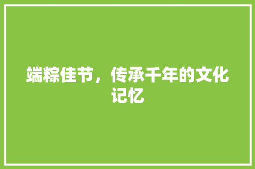 端粽佳节，传承千年的文化记忆 工作总结