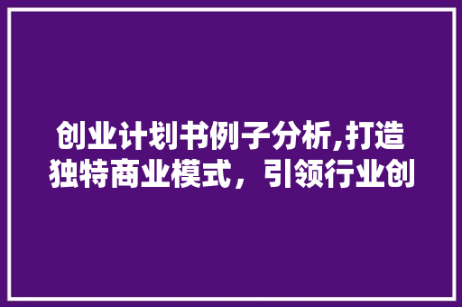 创业计划书例子分析,打造独特商业模式，引领行业创新