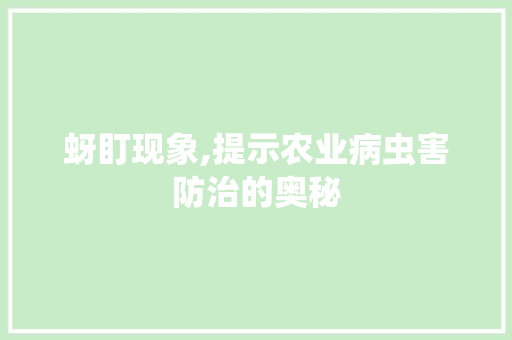 蚜盯现象,提示农业病虫害防治的奥秘
