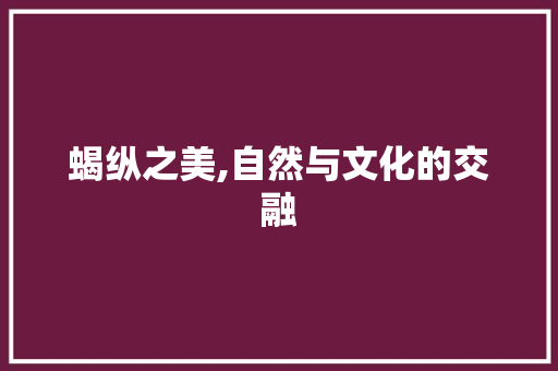 蝎纵之美,自然与文化的交融