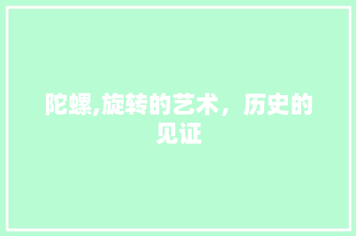陀螺,旋转的艺术，历史的见证 成语大全