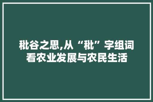 秕谷之思,从“秕”字组词看农业发展与农民生活 工作计划