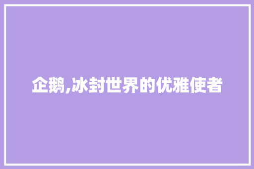 企鹅,冰封世界的优雅使者 工作计划