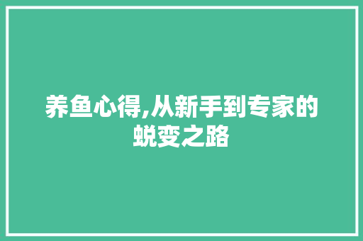 养鱼心得,从新手到专家的蜕变之路