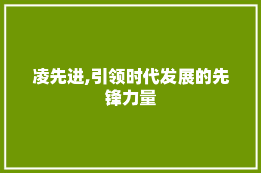 凌先进,引领时代发展的先锋力量