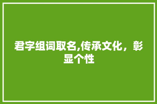 君字组词取名,传承文化，彰显个性