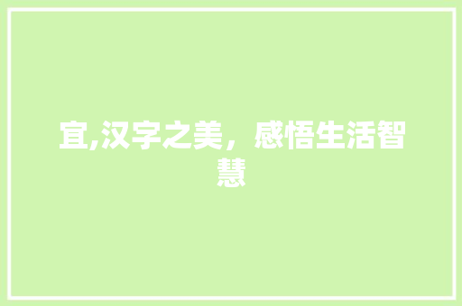 宜,汉字之美，感悟生活智慧