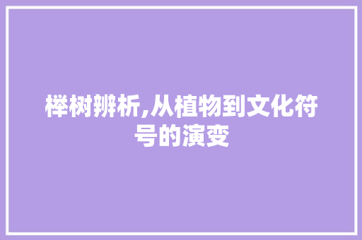 榉树辨析,从植物到文化符号的演变