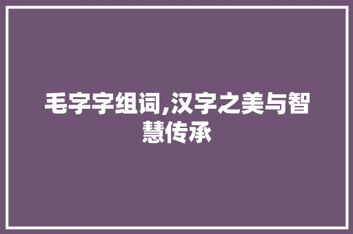 毛字字组词,汉字之美与智慧传承