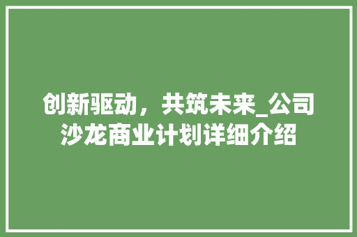 创新驱动，共筑未来_公司沙龙商业计划详细介绍