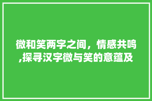 微和笑两字之间，情感共鸣,探寻汉字微与笑的意蕴及其关联_微和笑是意思相近的字吗 工作总结