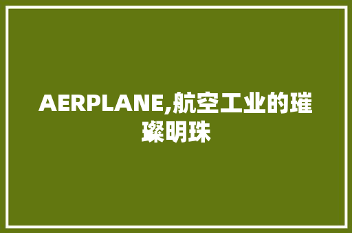 AERPLANE,航空工业的璀璨明珠