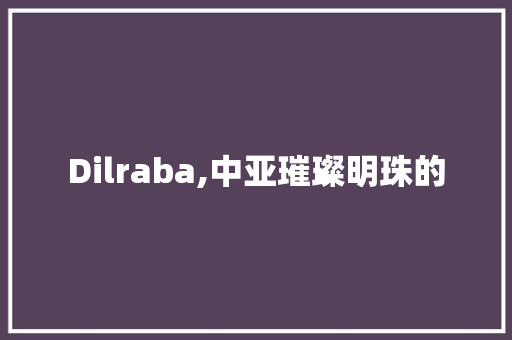Dilraba,中亚璀璨明珠的