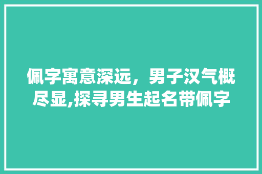 佩字寓意深远，男子汉气概尽显,探寻男生起名带佩字的内涵与魅力_男生起名带佩字的意思是